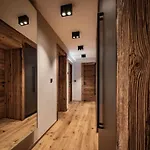 Apartment Cozy Loft In The Alps Of Zillertal *